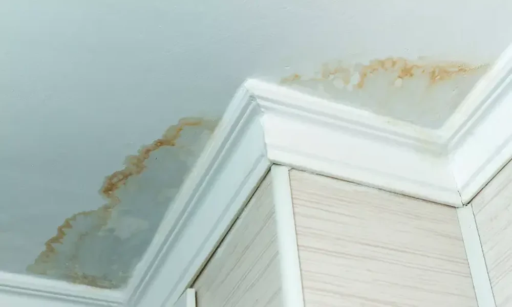 Can a Water Stain Tell You Which Season Caused It?